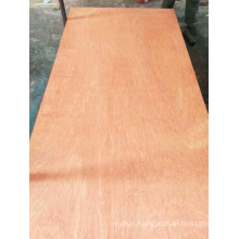 Bintangor Plywood for Furniture 15mm Plywood at Wholesale